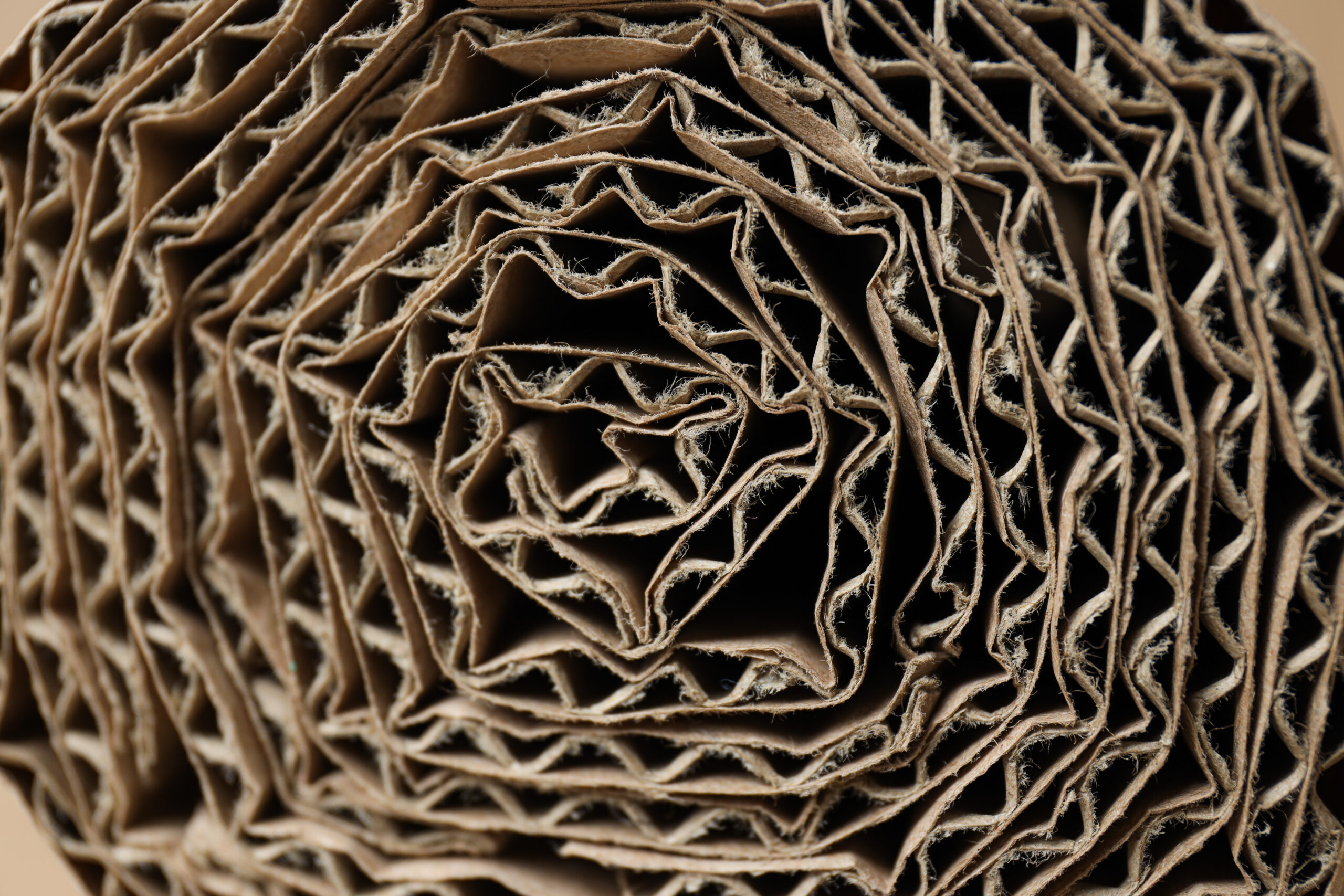 Gerollte Wellpappe im Detail mit sichtbarer Wellenstruktur und Materialschichten.